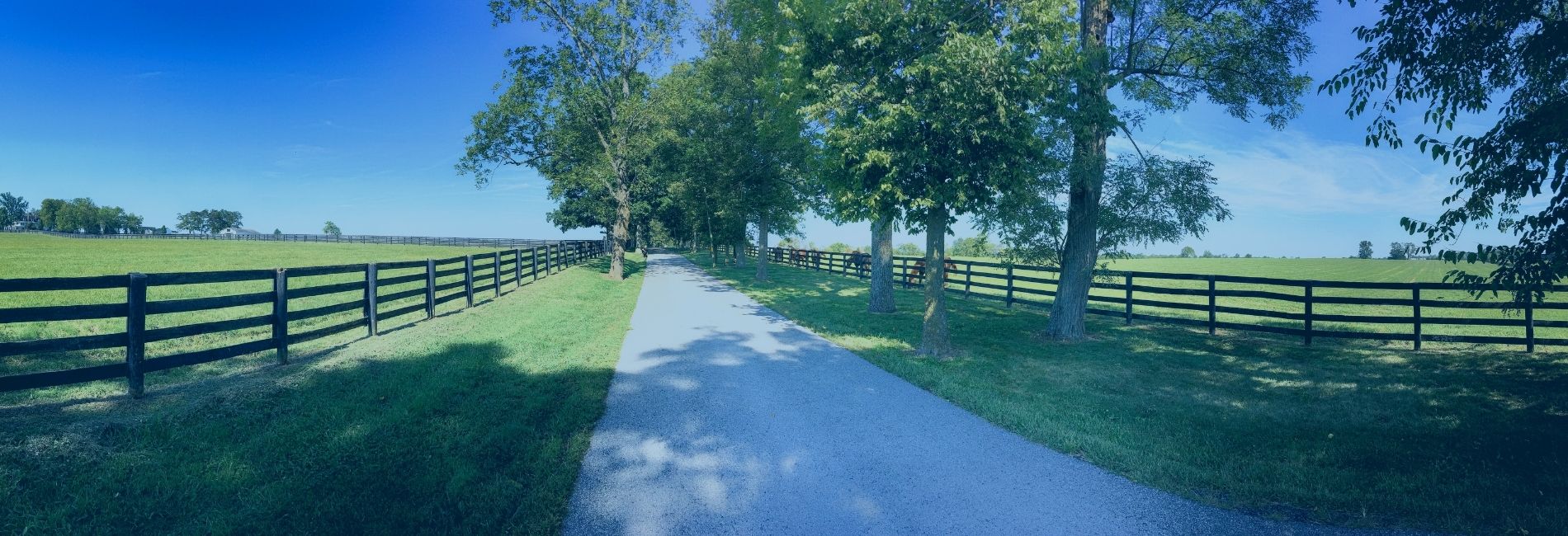 1 Hotels with Park Stay Fly Packages Near LEX Airport