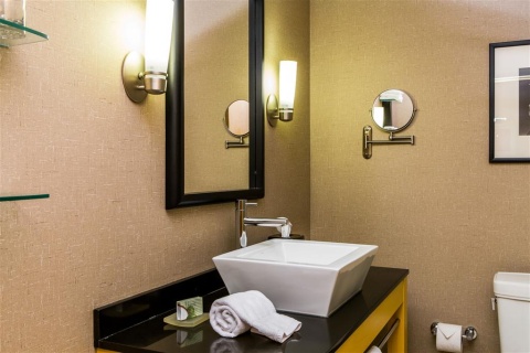 CAMBRIA HOTEL RALEIGH AIRPORT , NC 27560 near Raleigh-durham International Airport View Point 7