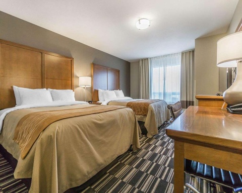 Comfort Inn and Suites Edmonton Internat , AB T9E 0W8 near Edmonton International Airport View Point 14