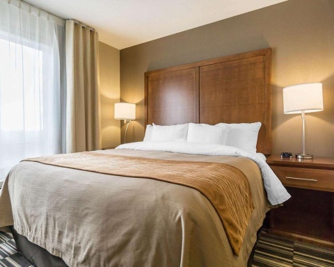 Comfort Inn and Suites Edmonton Internat , AB T9E 0W8 near Edmonton International Airport View Point 16