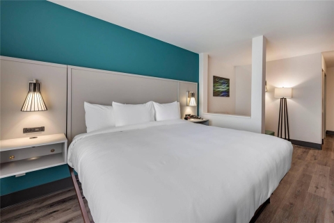 Comfort Suites Colorado Springs East , CO 80923 near Colorado Springs Airport View Point 11