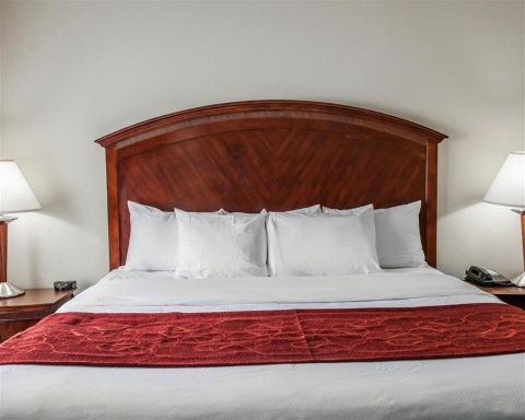 Comfort Suites near Indianapolis Airport , IN 46241 near Indianapolis International Airport View Point 17