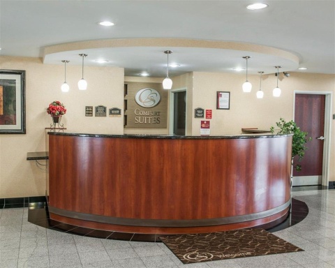Comfort Suites near Indianapolis Airport , IN 46241 near Indianapolis International Airport View Point 6