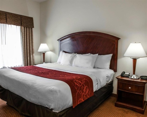 Comfort Suites near Indianapolis Airport , IN 46241 near Indianapolis International Airport View Point 16