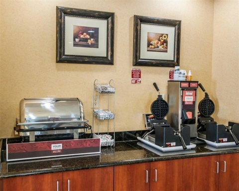 Comfort Suites near Indianapolis Airport , IN 46241 near Indianapolis International Airport View Point 13