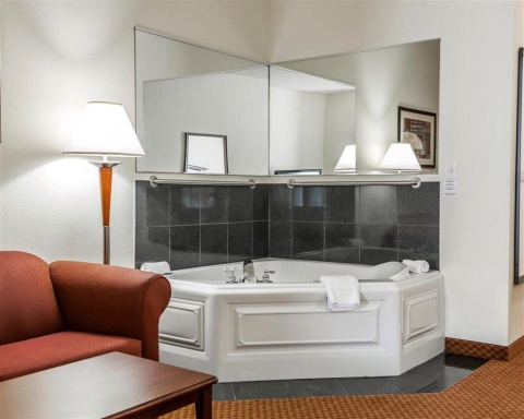 Comfort Suites near Indianapolis Airport , IN 46241 near Indianapolis International Airport View Point 19