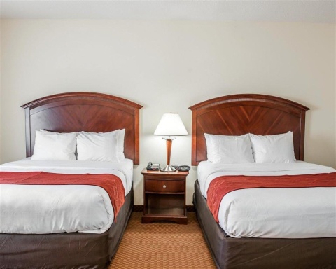 Comfort Suites near Indianapolis Airport , IN 46241 near Indianapolis International Airport View Point 23