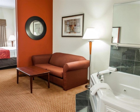 Comfort Suites near Indianapolis Airport , IN 46241 near Indianapolis International Airport View Point 18