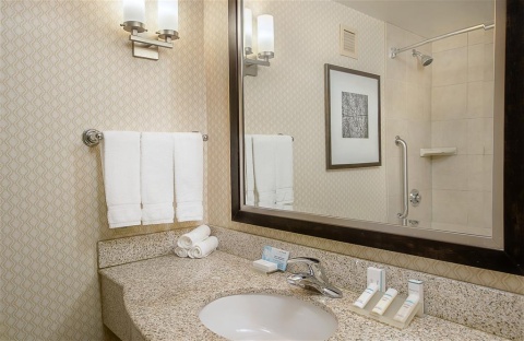 HILTON GARDEN INN ST. LOUIS AIRPORT , MO 63134 near Lambert-saint Louis International Airport View Point 8