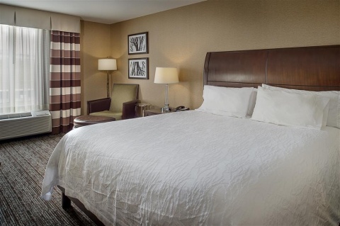 HILTON GARDEN INN ST. LOUIS AIRPORT , MO 63134 near Lambert-saint Louis International Airport View Point 17
