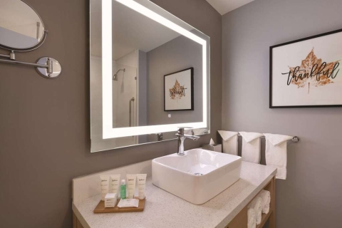 Radisson Hotel Atlanta Airport , GA 30337 near Hartsfield-jackson Atlanta International Airport View Point 14