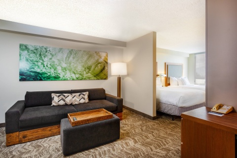 SpringHill Suites by Marriott Miami Airport South-Blue Lagoon Area , FL 33126 near Miami International Airport View Point 18
