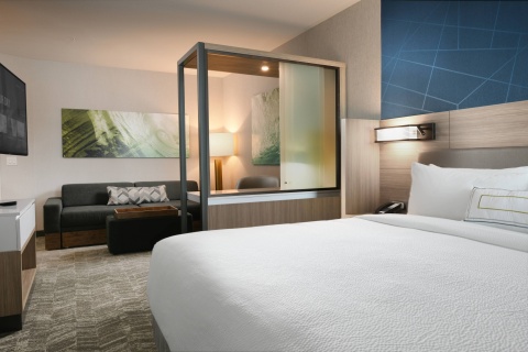 SpringHill Suites Dallas DFW Airport South-CentrePort , TX 76155 near Dallas-fort Worth International Airport View Point 16