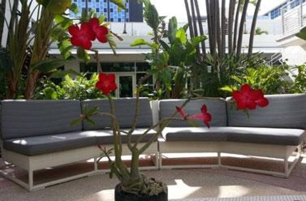 Albion Miami Beach 5