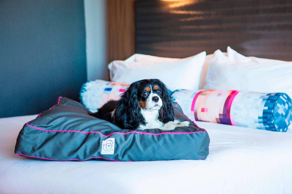 Aloft Miami Dadeland 3