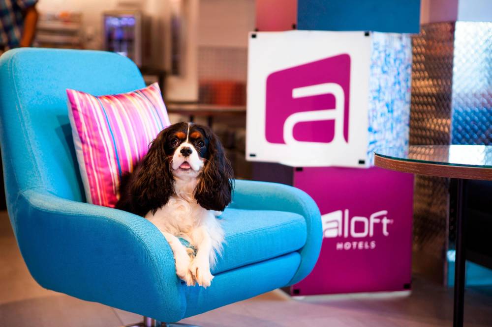 Aloft Miami Dadeland 8
