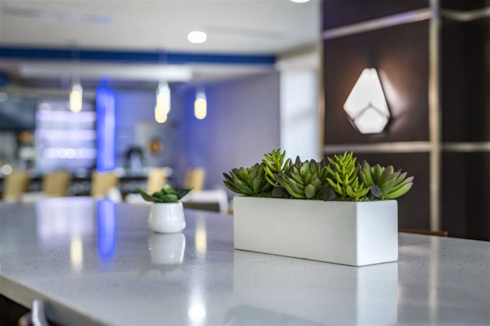 Cambria Hotel Ft Lauderdale Airport 8