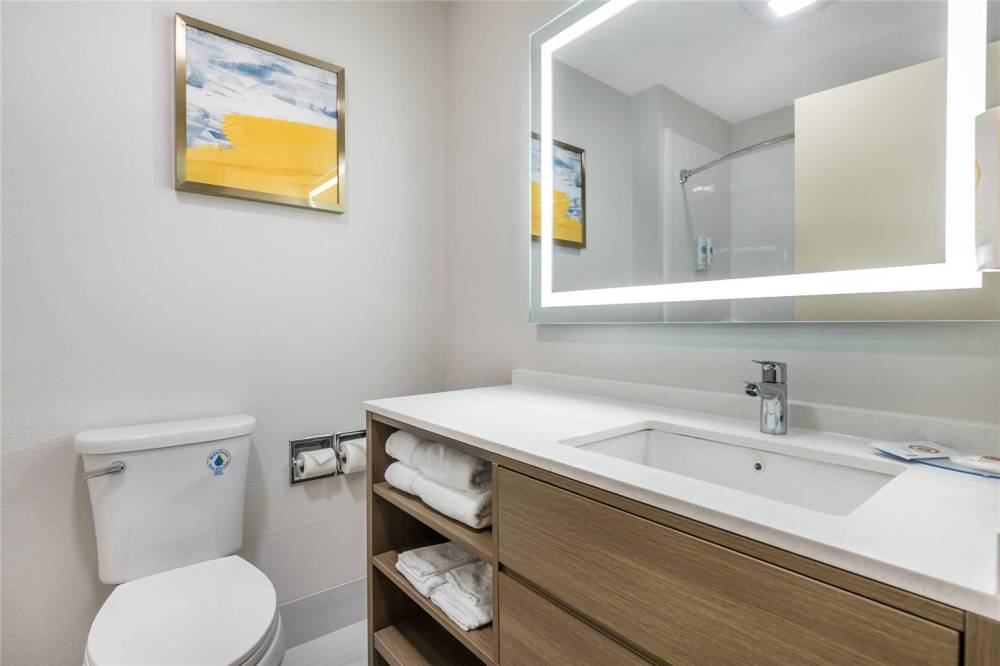 Comfort Inn Davenport East - Bettendorf 8