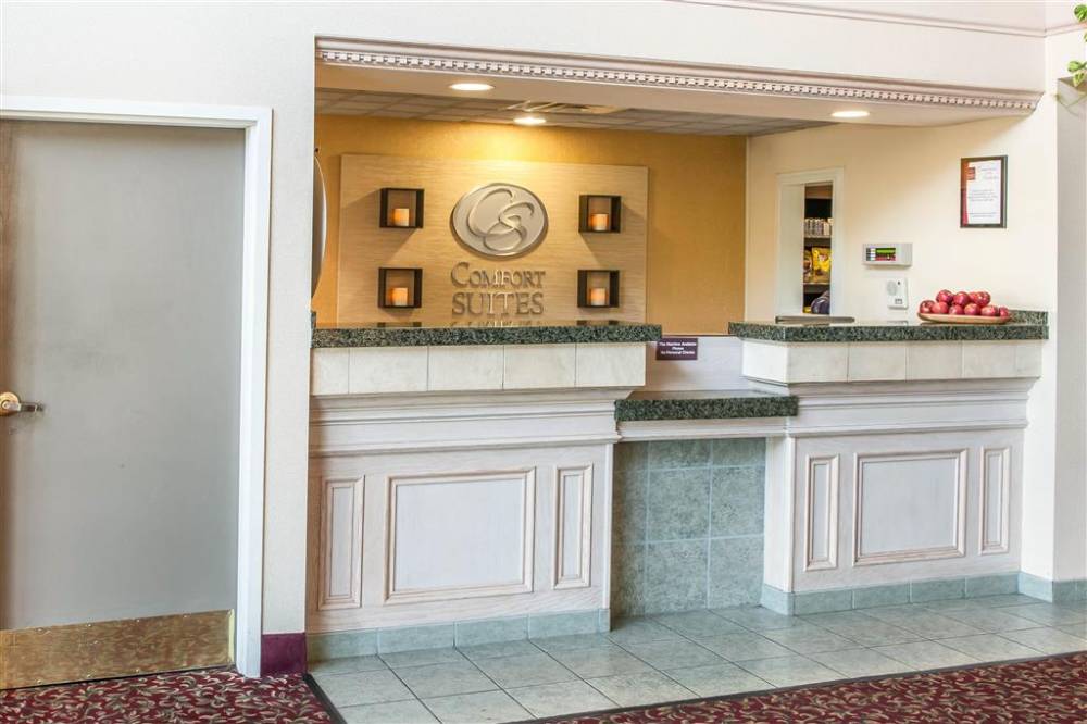 Comfort Suites South 4