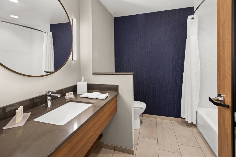 Guest Bathroom - Tub-Shower Commination
