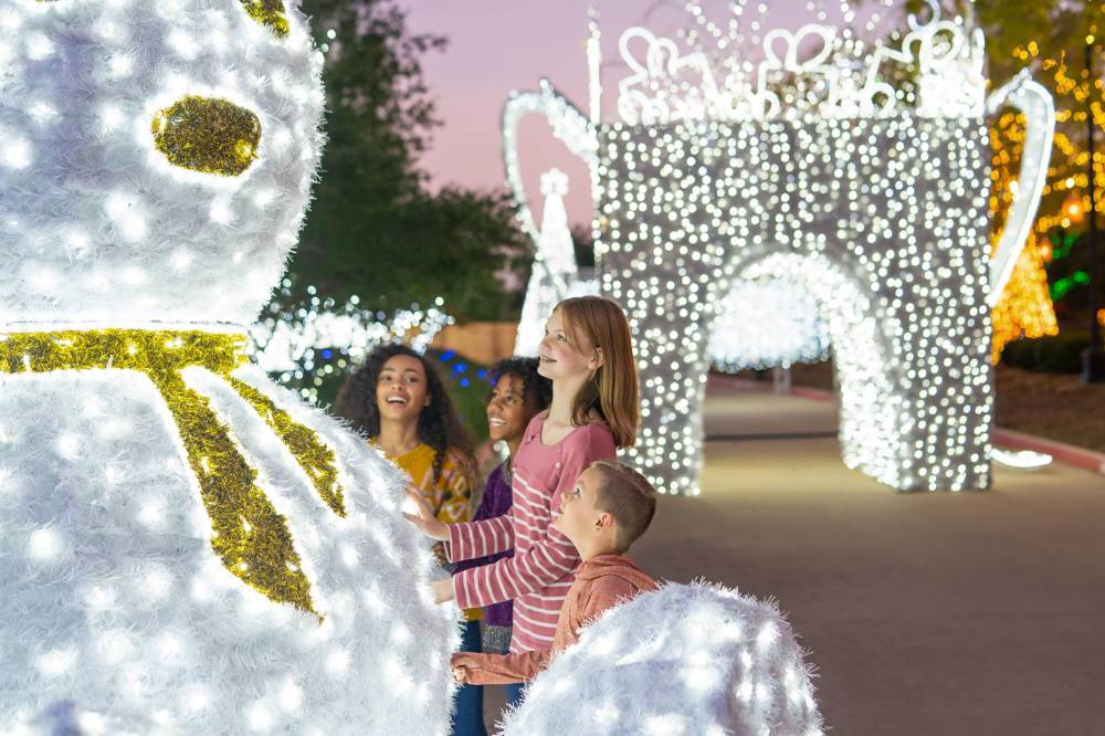 Gaylord Texan Resort And Convention Center 8