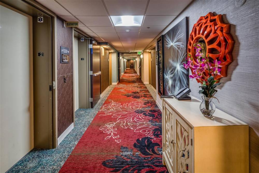 Hampton Inn San Francisco Airport 3