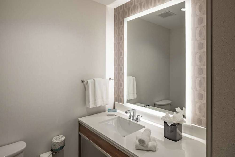 Hilton Garden Inn Dallas At Hurst Conference Center 9