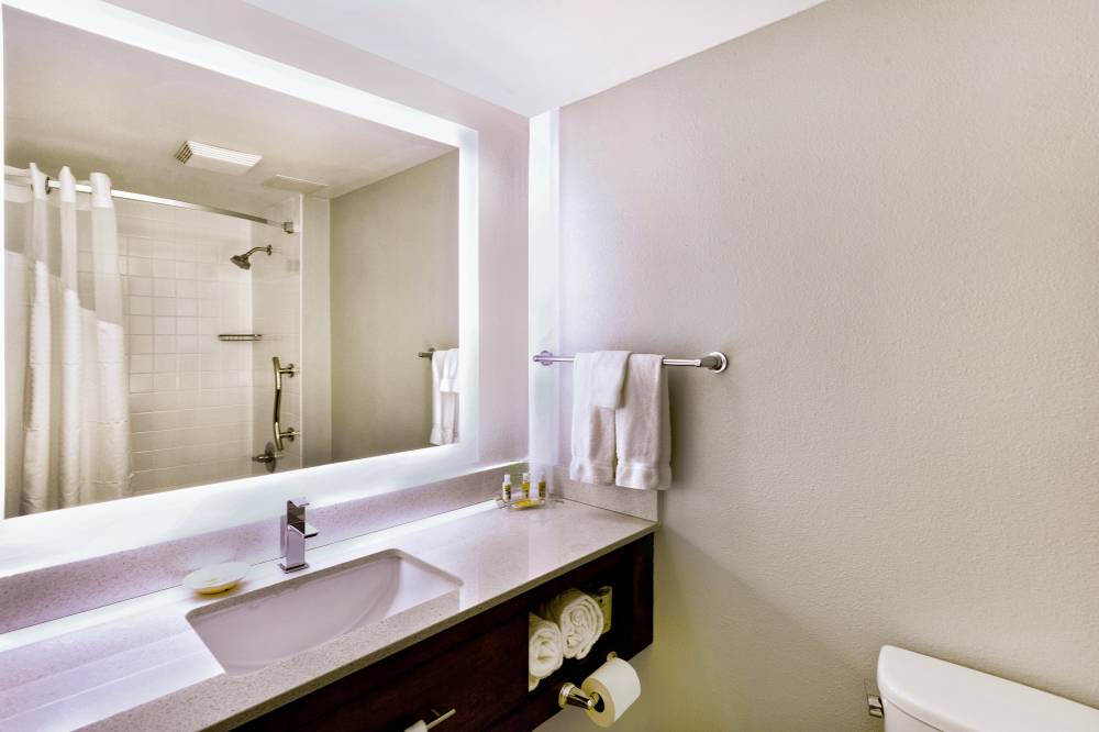 Holiday Inn Airport-west 5