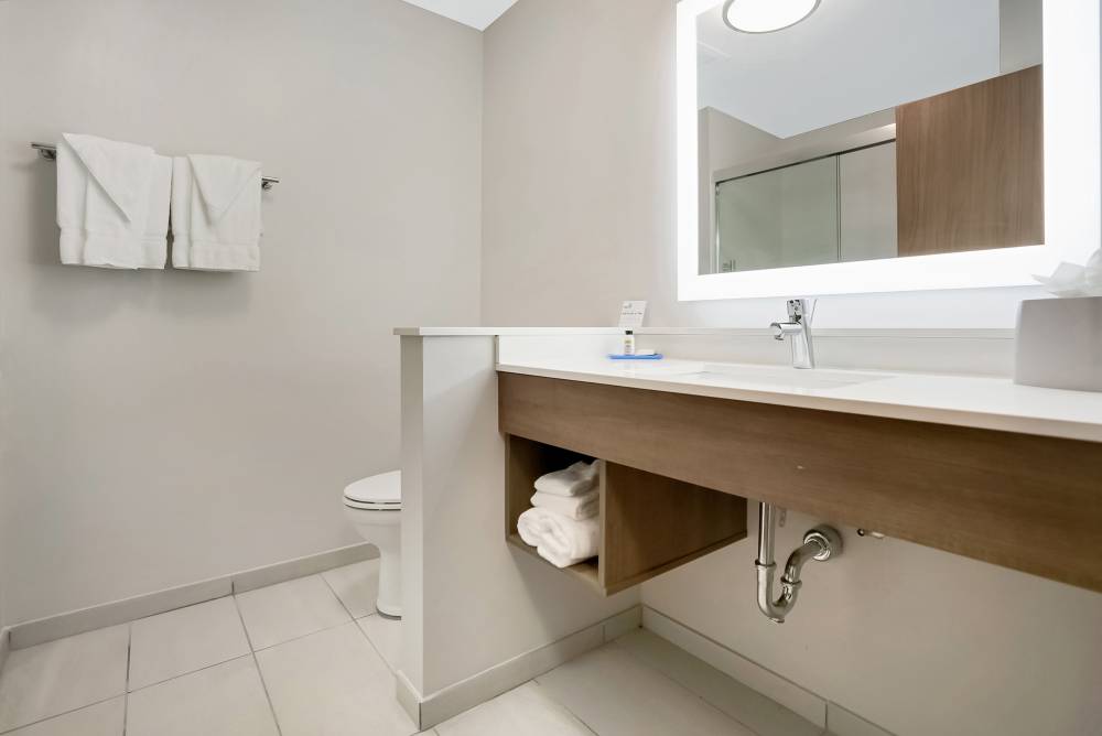 Holiday Inn Exp Stes South Bartram Prk 2