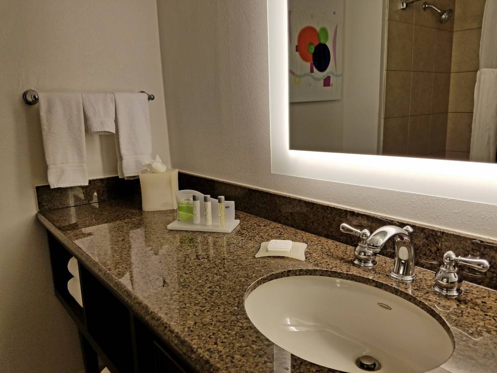Holiday Inn Irving Las Colinas