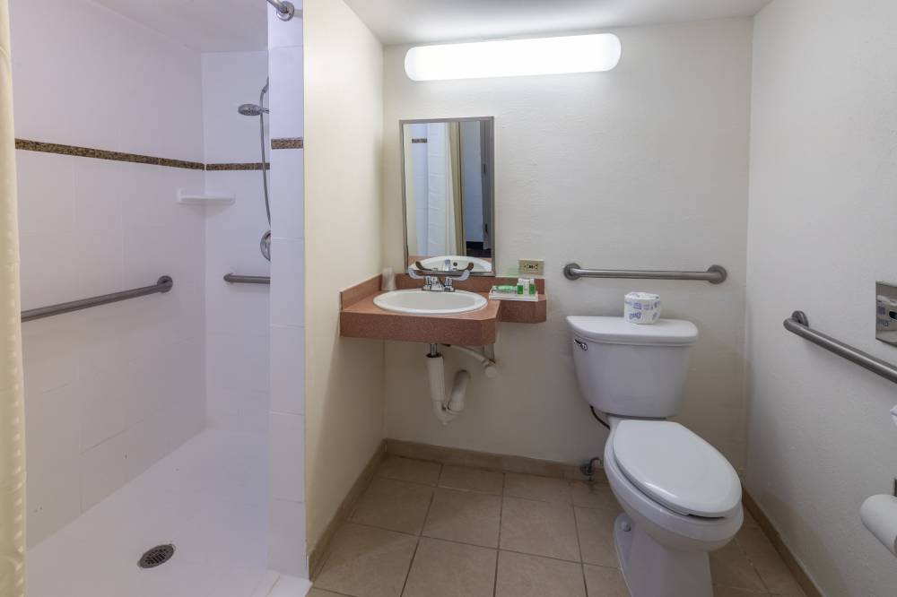 Holiday Inn Port Of Miami Dtwn 7