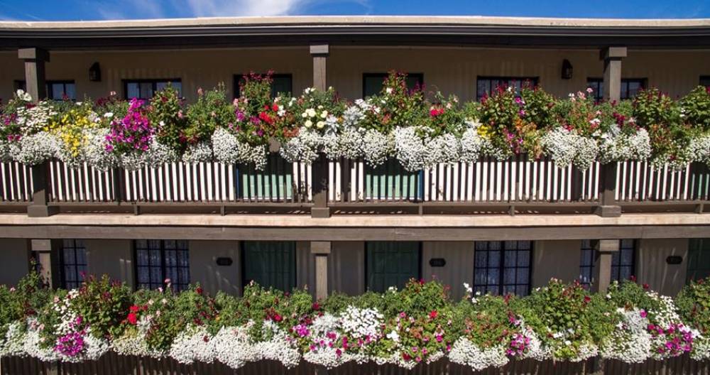 Inn Of The Governors 2