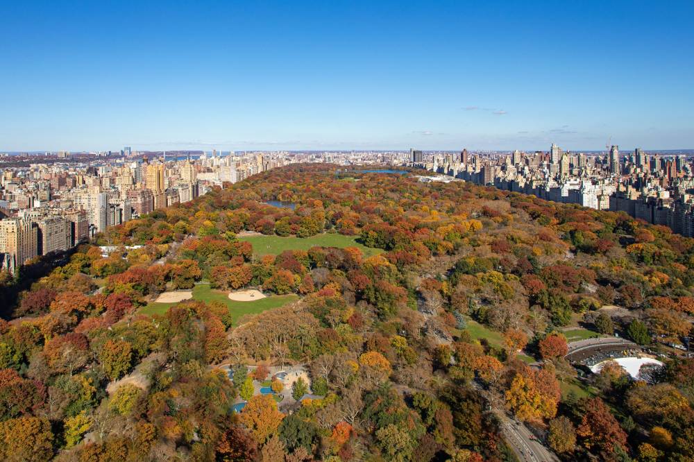Jw Marriott Essex House New York 7