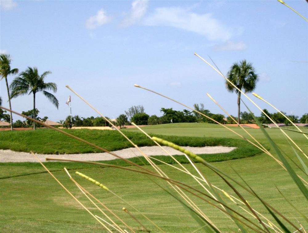 Miami Lakes Hotel 7
