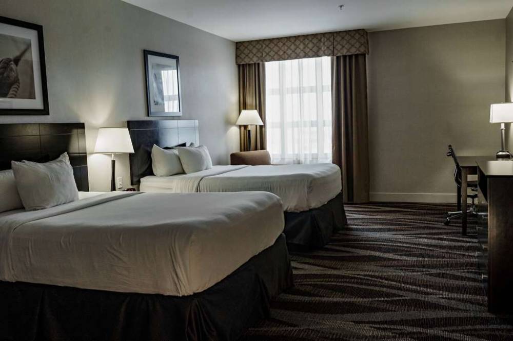 Radisson Hotel Edmonton Airport 4