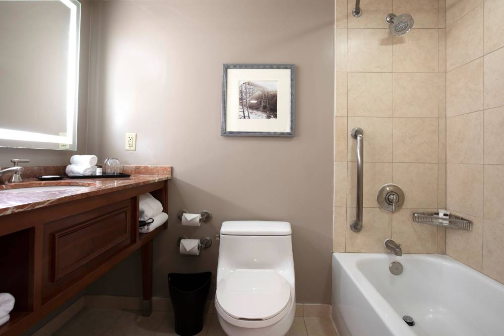 Sheraton Niagara Falls 2