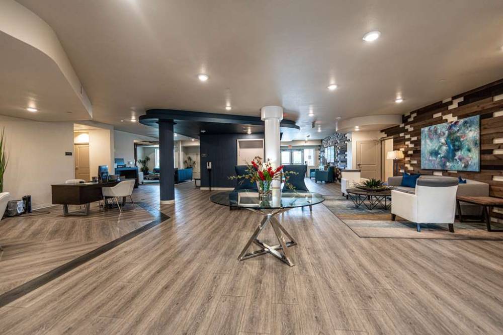 Soka Suites Las Colinas 4