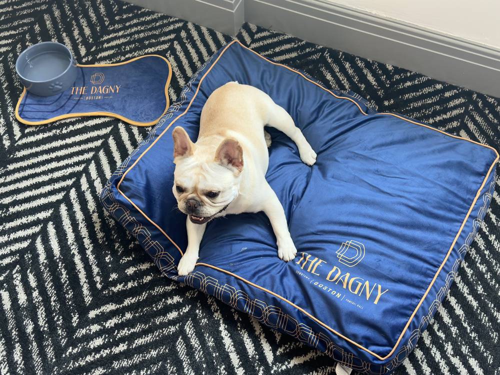 The Dagny Boston 5