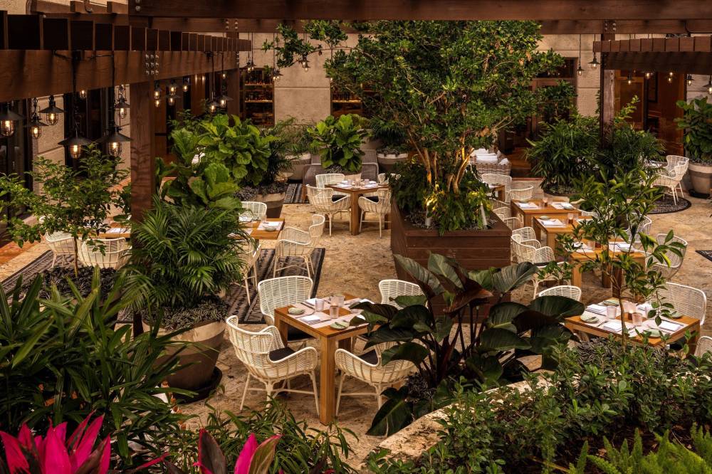 The Ritz-carlton Coconut Grove Miami 10
